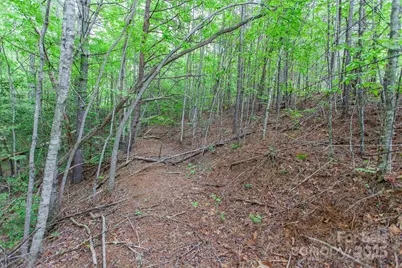 65 Cunningham Road, Bryson City, NC 28713 - Photo 17