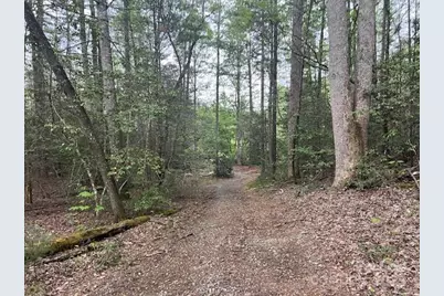 65 Cunningham Road, Bryson City, NC 28713 - Photo 37