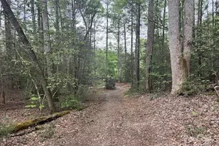 65 Cunningham Rd, Bryson City, NC 28713 - Photo 37