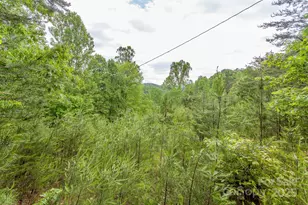 65 Cunningham Rd, Bryson City, NC 28713 - Photo 21