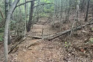 65 Cunningham Rd, Bryson City, NC 28713 - Photo 33