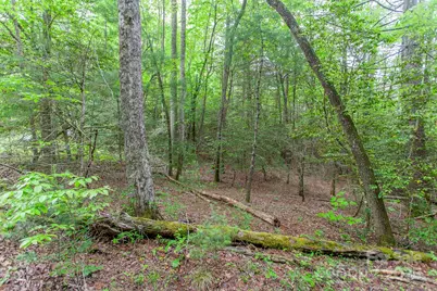 65 Cunningham Road, Bryson City, NC 28713 - Photo 29