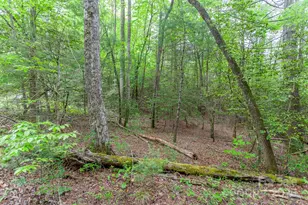 65 Cunningham Rd, Bryson City, NC 28713 - Photo 29