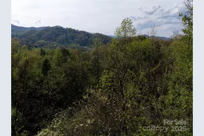 Lot 39 Sunnybrook Trail, Clyde, NC 28721 - Photo 5