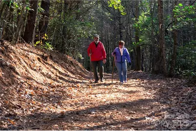 3.16 Acres Lot 77, 1712 Round Mountain Parkway #77, Lenoir, NC 28645 - Photo 35