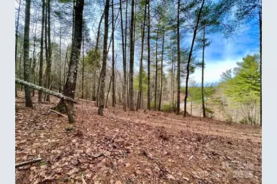 3.16 Acres Lot 77, 1712 Round Mountain Parkway #77, Lenoir, NC 28645 - Photo 11