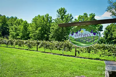 3.16 Acres Lot 77, 1712 Round Mountain Parkway #77, Lenoir, NC 28645 - Photo 19