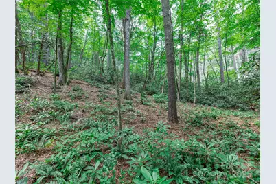 52 Trail Top Drive, Asheville, NC 28805 - Photo 13