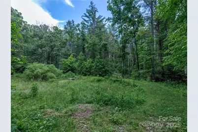 52 Trail Top Drive, Asheville, NC 28805 - Photo 21