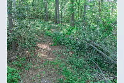 52 Trail Top Drive, Asheville, NC 28805 - Photo 11
