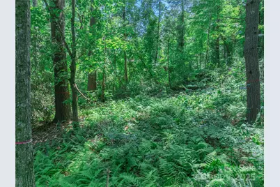 52 Trail Top Drive, Asheville, NC 28805 - Photo 27