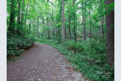 52 Trail Top Drive, Asheville, NC 28805 - Photo 15