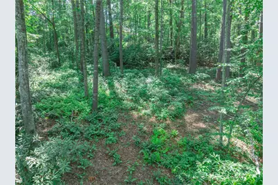 52 Trail Top Drive, Asheville, NC 28805 - Photo 33