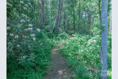 52 Trail Top Drive, Asheville, NC 28805 - Photo 9