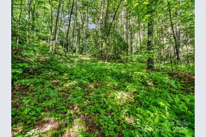 Tbd Climbing Road, Hendersonville, NC 28792 - Photo 5