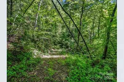 Tbd Climbing Road, Hendersonville, NC 28792 - Photo 11