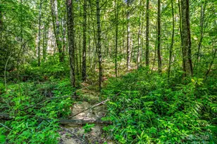Tbd Climbing Rd, Hendersonville, NC 28792 - Photo 1