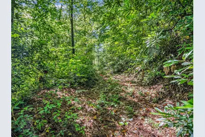 Tbd Climbing Road, Hendersonville, NC 28792 - Photo 9
