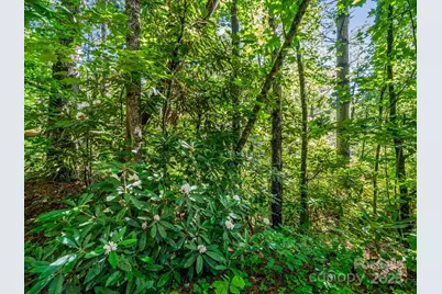 Tbd Climbing Road, Hendersonville, NC 28792 - Photo 3