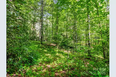 Tbd Climbing Road, Hendersonville, NC 28792 - Photo 7
