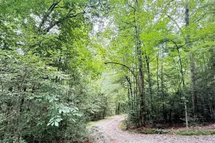 3430 & 3390 Rose Creek Rd, Morganton, NC 28655 - Photo 47