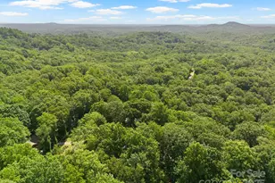 56 Cardinal Cir, Tryon, NC 28782 - Photo 31