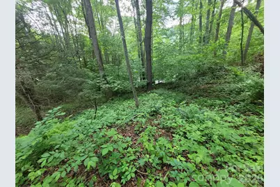 00 Serendipity Lane #111, Waynesville, NC 28785 - Photo 7