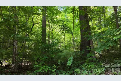 00 Serendipity Lane #111, Waynesville, NC 28785 - Photo 5