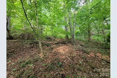 00 Serendipity Lane #111, Waynesville, NC 28785 - Photo 3