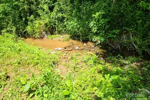 283 Robin Dr, Marion, NC 28752 - Photo 25