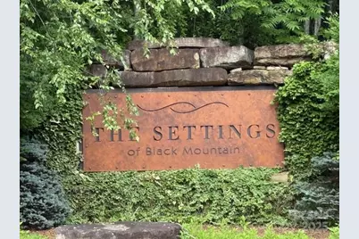 68 Cottage Settings Lane #290, Black Mountain, NC 28711 - Photo 1