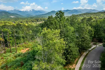 68 Cottage Settings Lane #290, Black Mountain, NC 28711 - Photo 9