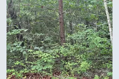 68 Cottage Settings Lane #290, Black Mountain, NC 28711 - Photo 3