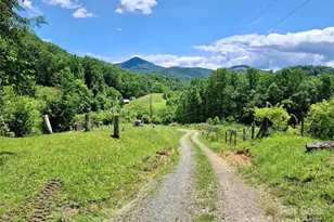 2087 Henry Rd, Sylva, NC 28779 - Photo 3
