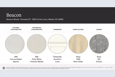 6382 Fairfax Court, Maiden, NC 28650 - Photo 3