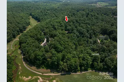 Lot #38 Moss Drive, Rutherfordton, NC 28139 - Photo 3