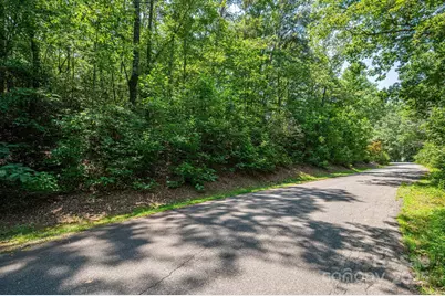 Lot #38 Moss Drive, Rutherfordton, NC 28139 - Photo 11