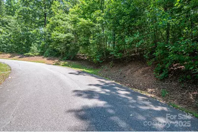 Lot #38 Moss Drive, Rutherfordton, NC 28139 - Photo 9