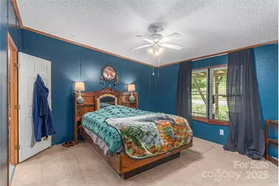 495 Courtney Lane, Canton, NC 28716 - Photo 9