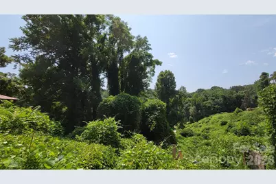 160 Cleveland Road, Tryon, NC 28782 - Photo 39