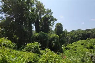 160 Cleveland Rd, Tryon, NC 28782 - Photo 39