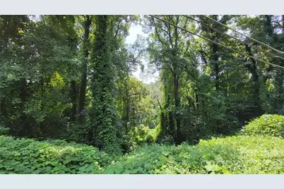 160 Cleveland Road, Tryon, NC 28782 - Photo 33