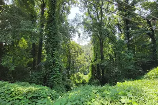 160 Cleveland Rd, Tryon, NC 28782 - Photo 33