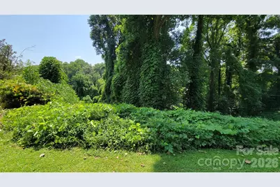 160 Cleveland Road, Tryon, NC 28782 - Photo 37