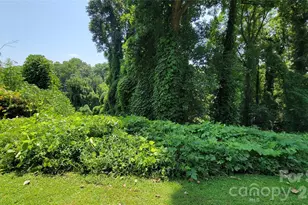 160 Cleveland Rd, Tryon, NC 28782 - Photo 37