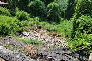 160 Cleveland Rd, Tryon, NC 28782 - Photo 27