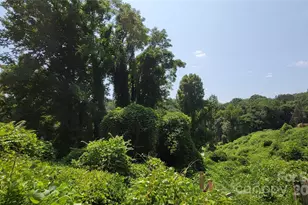 160 Cleveland Rd, Tryon, NC 28782 - Photo 41