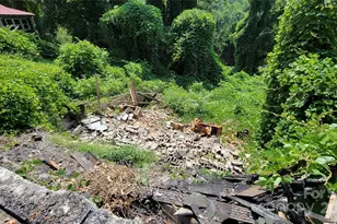 160 Cleveland Rd, Tryon, NC 28782 - Photo 29