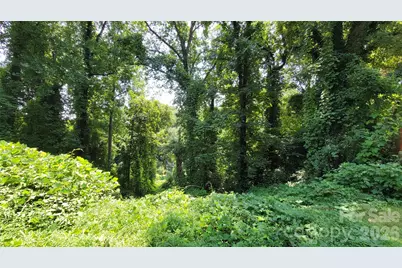 160 Cleveland Road, Tryon, NC 28782 - Photo 35