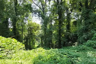 160 Cleveland Rd, Tryon, NC 28782 - Photo 35